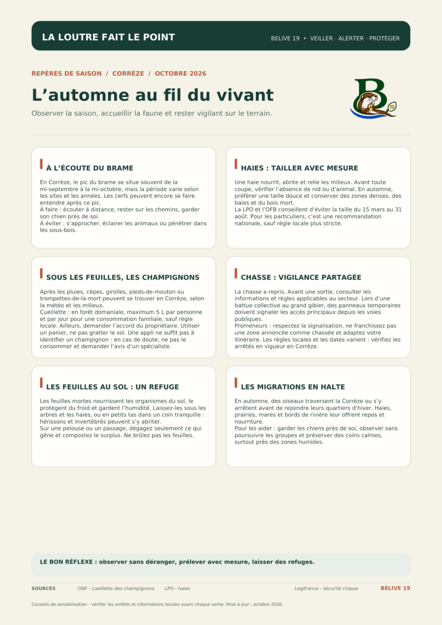 L’automne au fil du vivant : six conseils de saison en Corrèze, octobre 2026