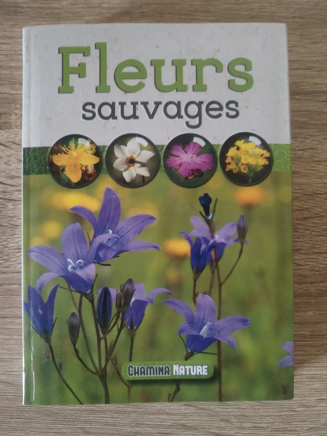 Photographie de la couverture : Fleurs sauvages