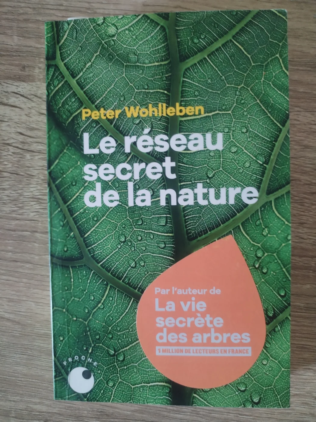 Photographie de la couverture : Le réseau secret de la nature — Peter Wohlleben