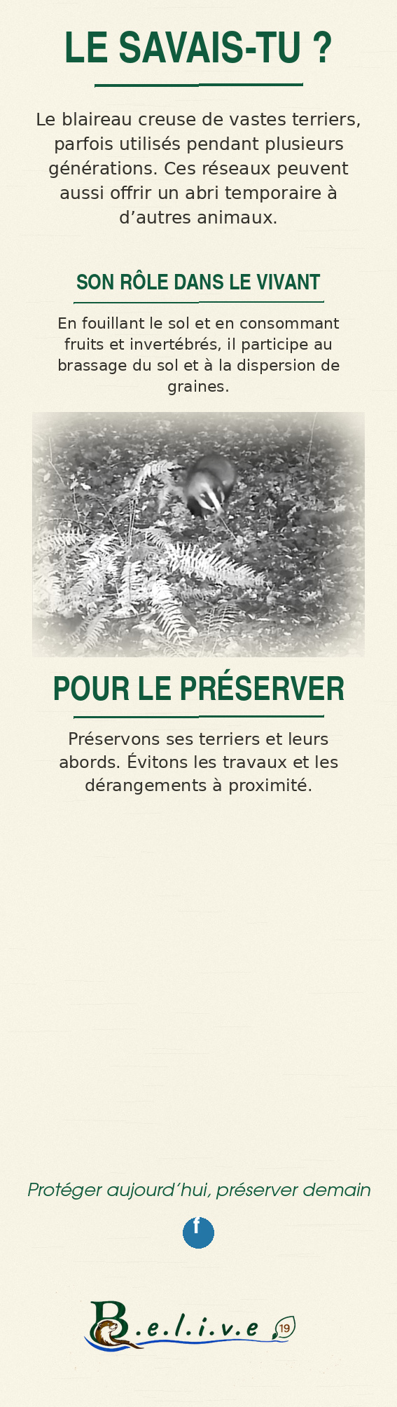 Marque-page Le blaireau européen — verso, informations naturalistes