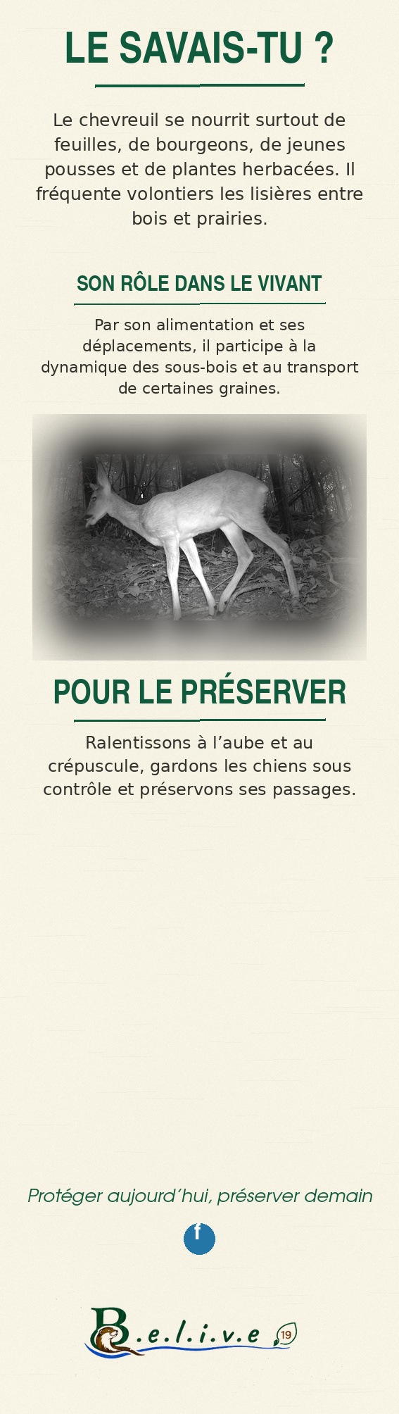 Marque-page Le chevreuil européen — verso, informations naturalistes