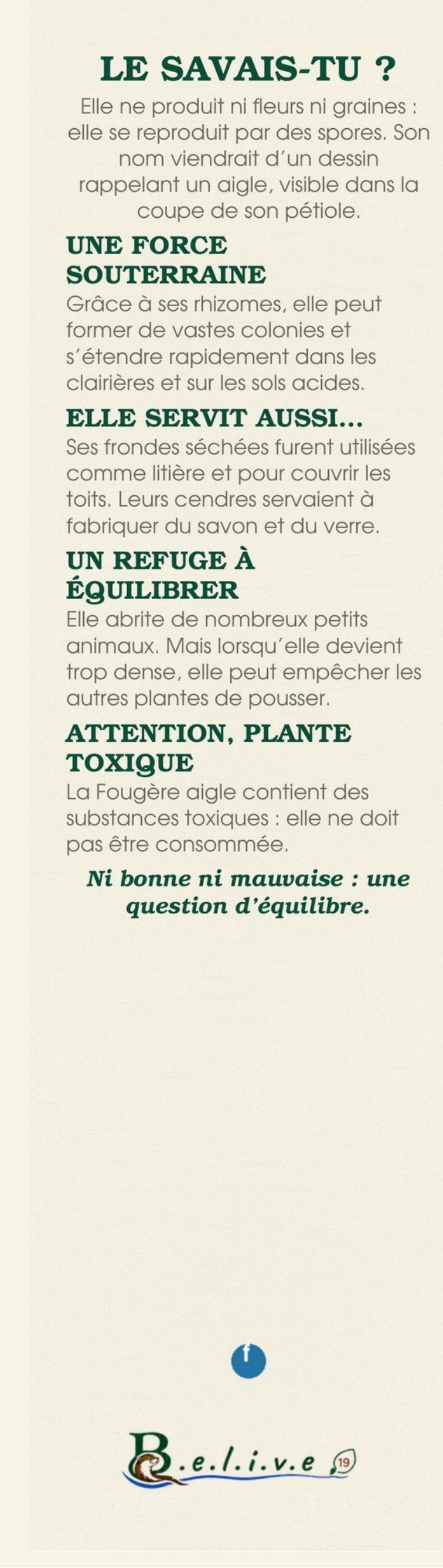 Marque-page La fougère aigle — verso