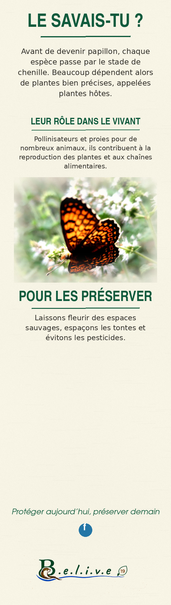 Marque-page Les papillons — verso, informations naturalistes