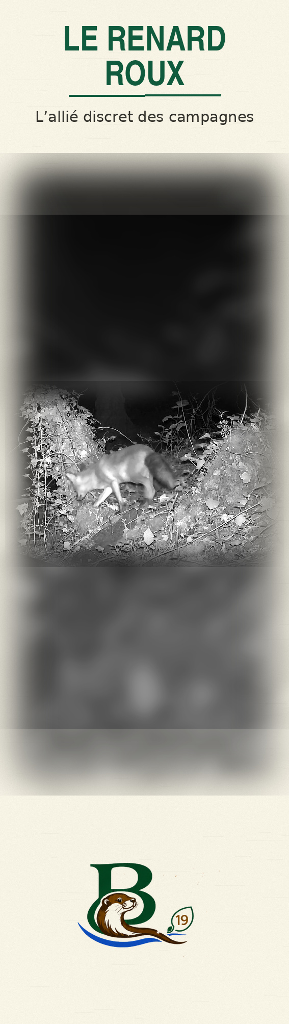 Marque-page Le renard roux — recto
