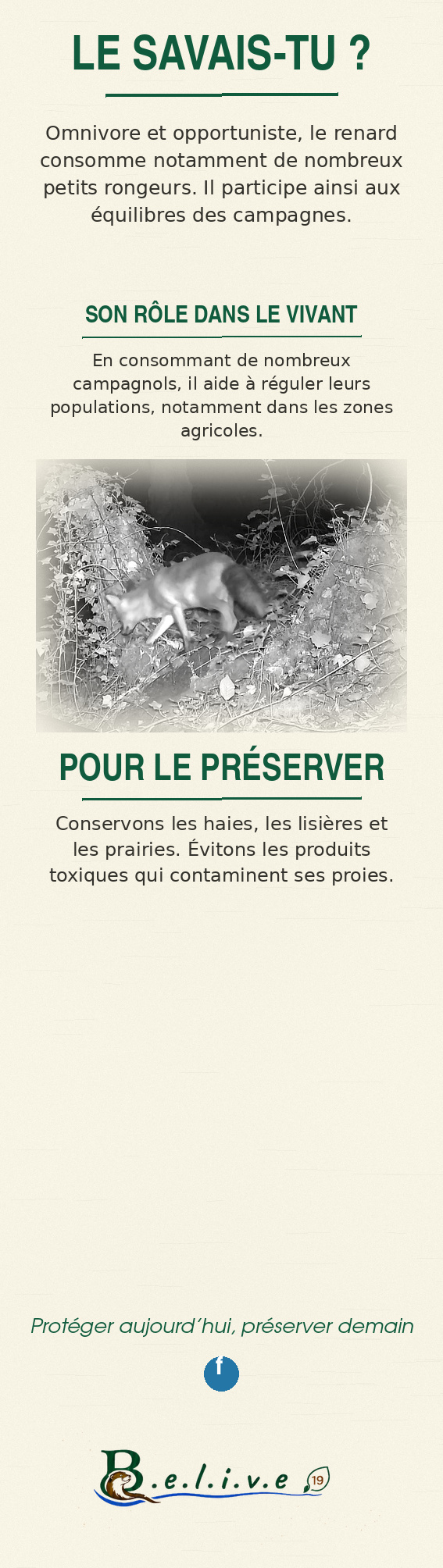Marque-page Le renard roux — verso, informations naturalistes
