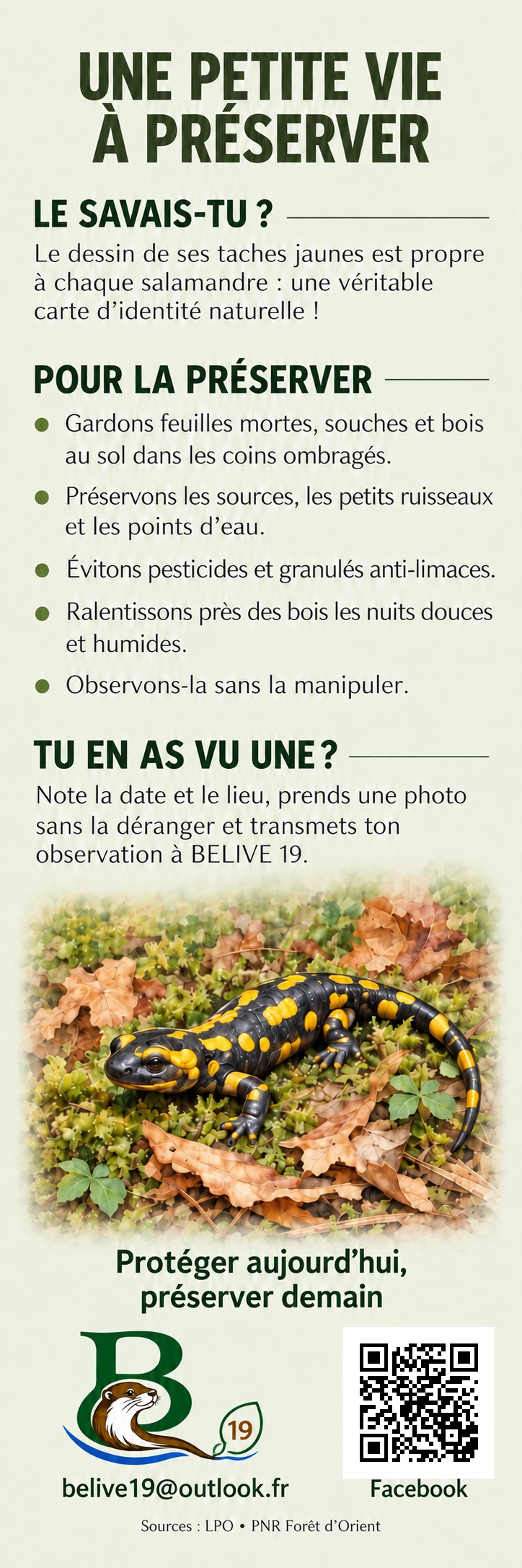 Marque-page La salamandre tachetée — verso, informations et gestes de préservation